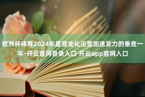 欧洲杯体育2024年是营业化运营加速发力的垂危一年-开云官网登录入口 开云app官网入口