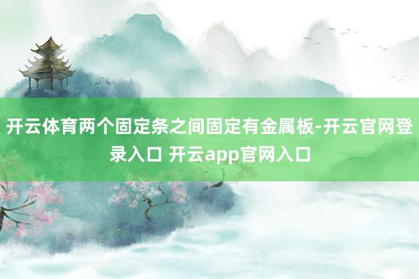 开云体育两个固定条之间固定有金属板-开云官网登录入口 开云app官网入口