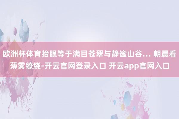 欧洲杯体育抬眼等于满目苍翠与静谧山谷… 朝晨看薄雾缭绕-开云官网登录入口 开云app官网入口